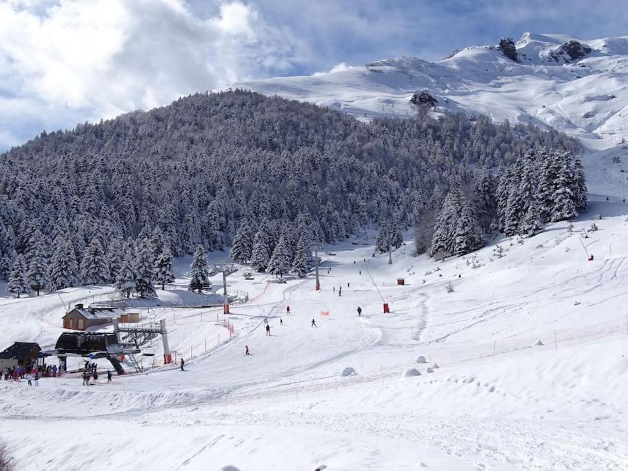Appartement T4 8 Couchages Spacieux Et Cosy Au Pied Des Pistes Génos 外观 照片